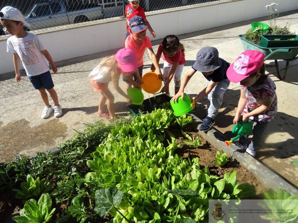 horta-biologica-pre-escolar (2)